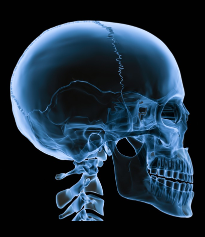 Jaw Radiology